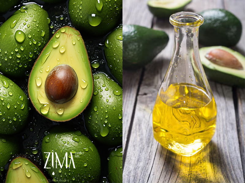 روغن آووکادو